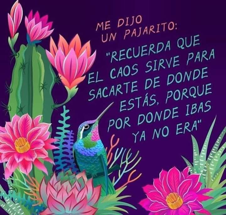 lacosamaslinda1's tweet photo. Me dijo un pajarito 😉✨ https://t.co/QfZUVf3MkY