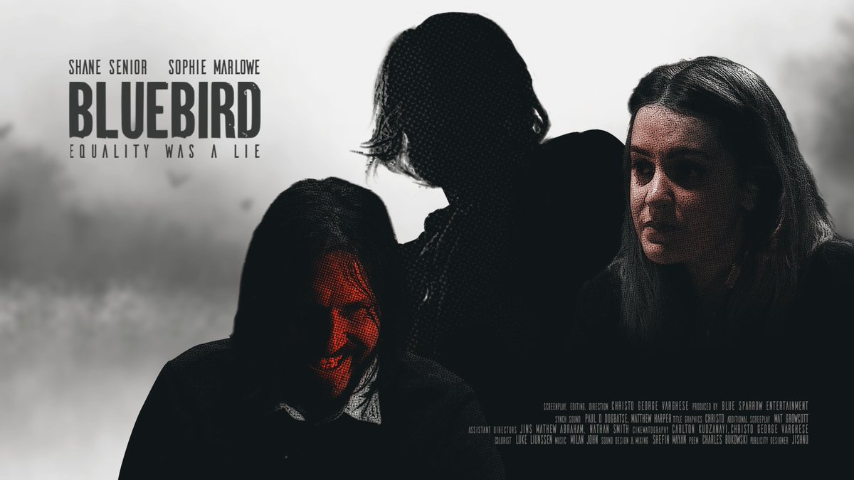 Shane Senior tweet media