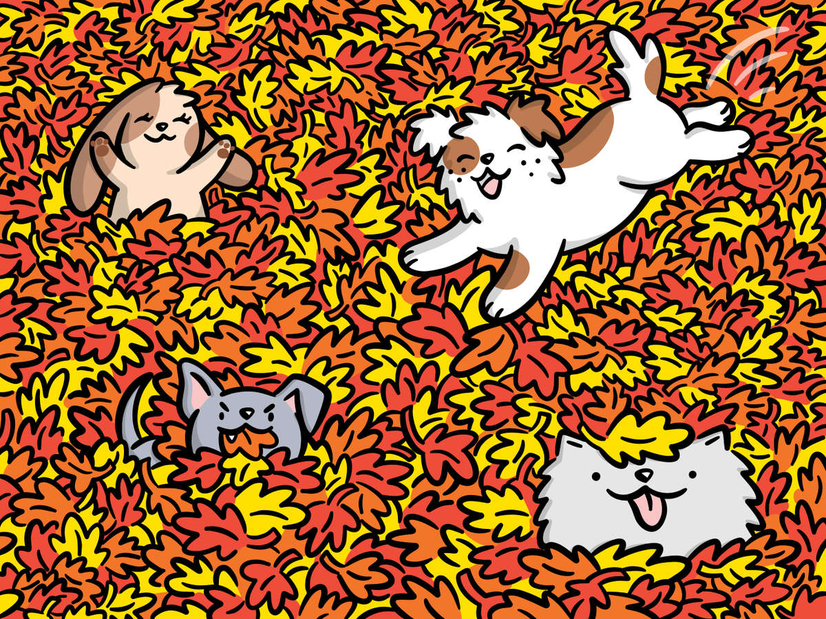 Discovery Squad 🐶 tweet media