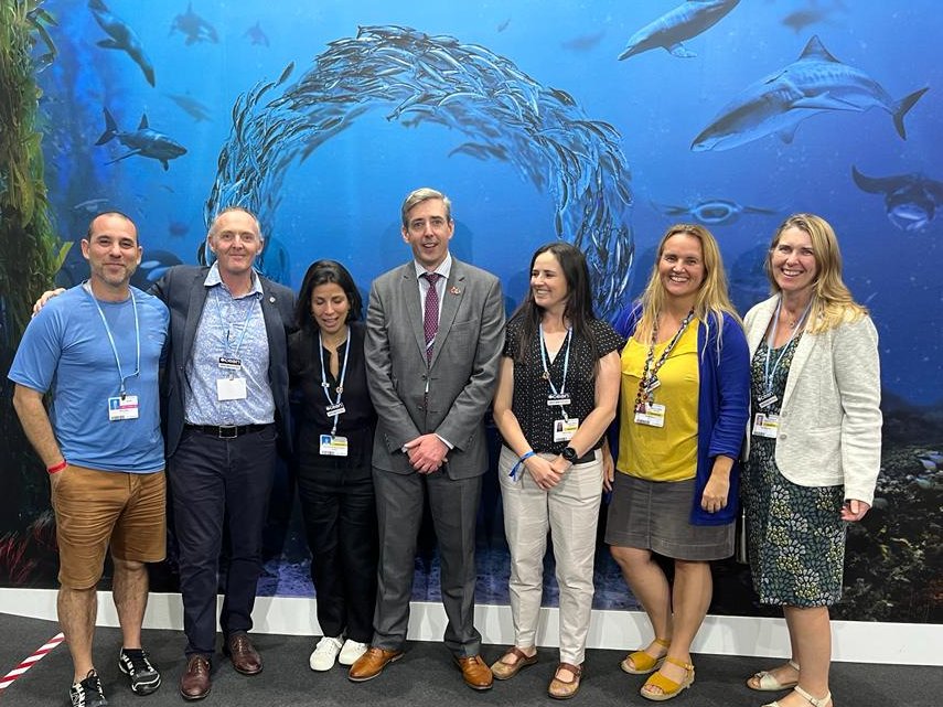 Prof Ana M Queiros tweet media