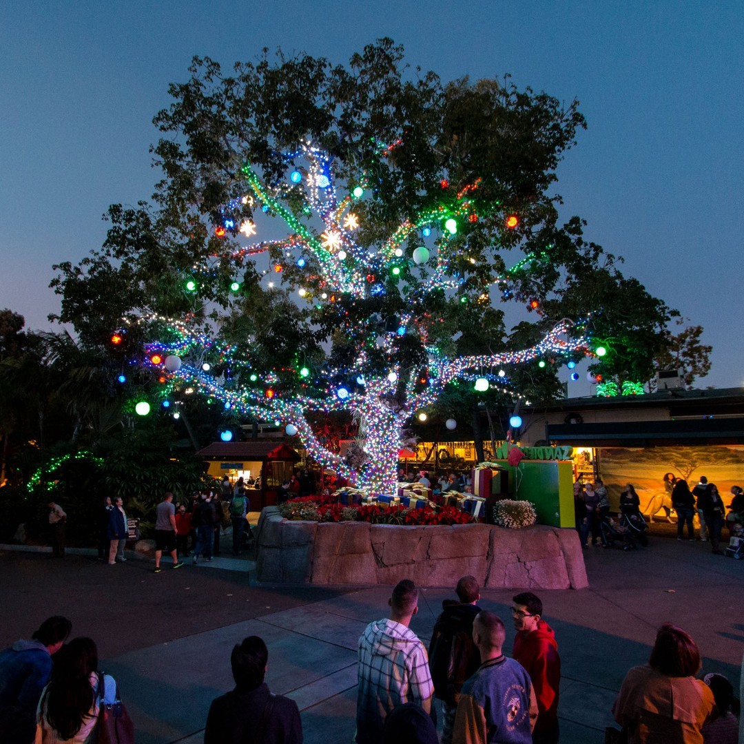 California Welcome Center CBX tweet media