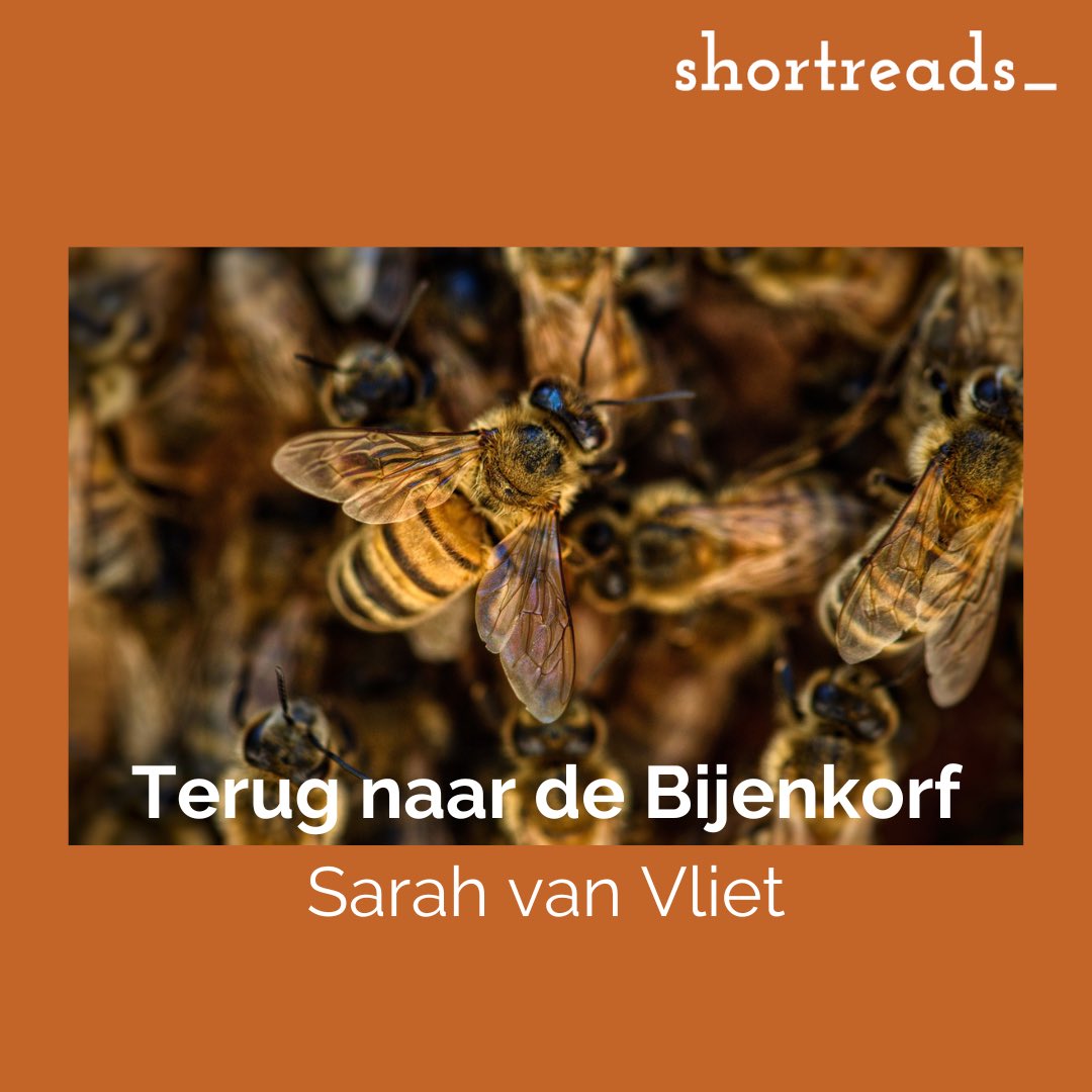 shortreads_'s tweet photo. Sarah van Vliet schrijft haar shortread vandaag vanuit de file. https://t.co/80hj3k4dLK https://t.co/hTNiZekaeI