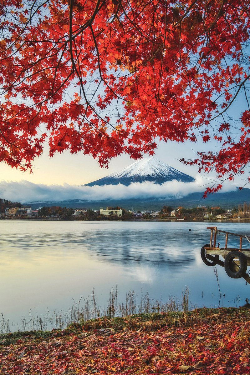 Nature4784's tweet photo. https://t.co/ntz58MNXdI