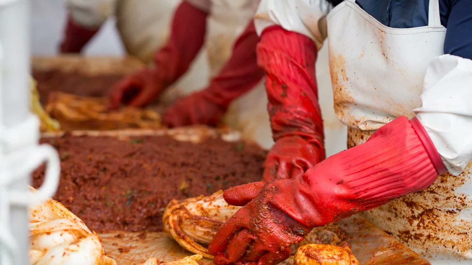 O Boziu! 🇰🇷💜🇰🇷
김치 좋아해 🍲
 
#Korea #Polska #kimchi #food #asianfood #koreanfood