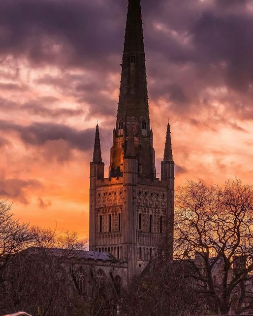 VisitNorwich tweet media