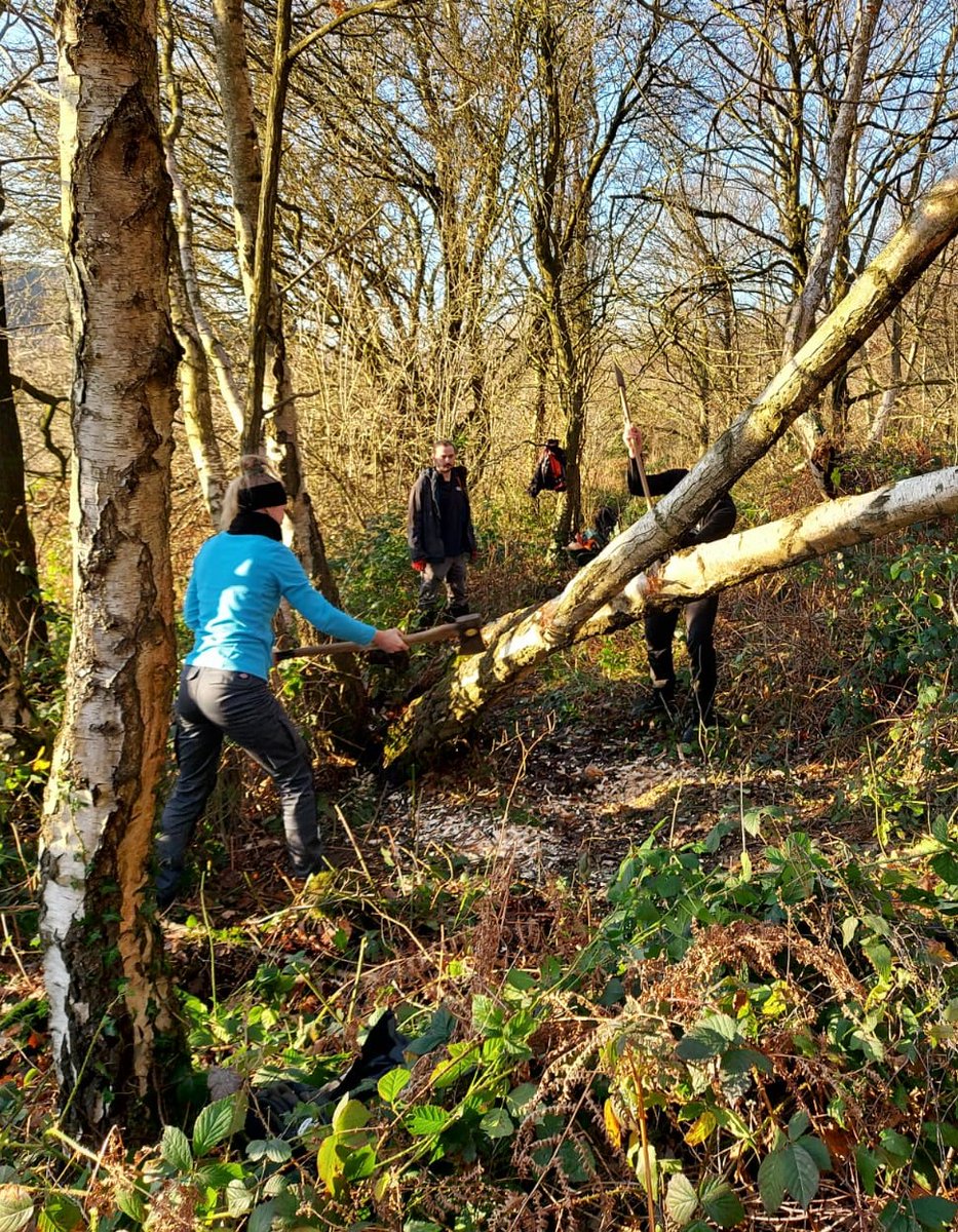 working4nature's tweet photo. A few more pics of our amazing @working4nature trainees over the last 4 years getting stuck in, in all weathers! The @HeritageFundUK made this traineeship possible and we are now looking for new ways to continue providing paid traineeships at @DerbysWildlife #GreenCareersWeek https://t.co/mVXekVqO4u