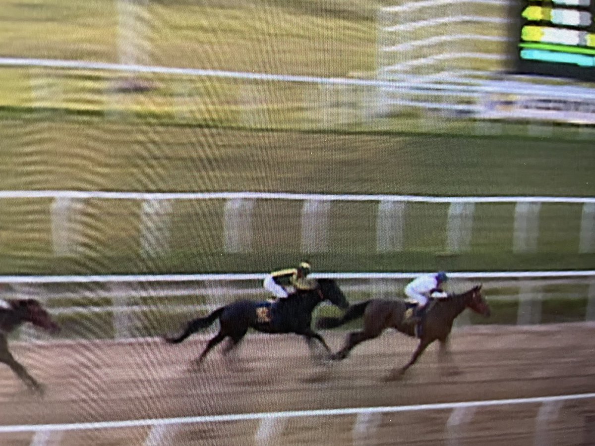 LennonAnnette's tweet photo. Alvena Tudor and trainer/jockey Malle Smith win snugly on debut over 1400m https://t.co/MVuF8Vr9Pk