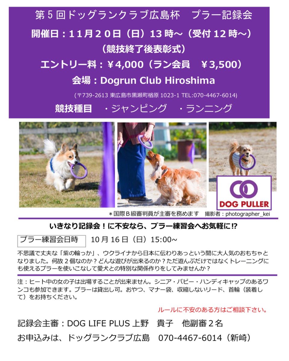 doglifeplus111's tweet photo. まもなく開催〜
紫の輪っかを追っかけたことのあるわんこさん、咥えたことのあるワンコさん、
豪華参加賞をゲット!!
#dogpuller
#puller
#記録会
#doglifeplus
#ドッグランクラブ広島 https://t.co/qSetHf1bBF