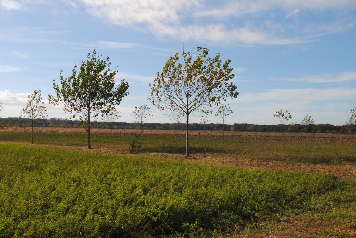 AGROMIXproject's tweet photo. AGROMIX's first in-person meeting is taking place in Pisa,🇮🇹! 

The 28 partners from 14🇪🇺countries have gathered together to find solutions for the future of EU landscapes and societies. Three days of intense collaboration &amp; participation to reach our common objective!🤲🌾🪳🌳🍂 https://t.co/zGMTBfpnjT