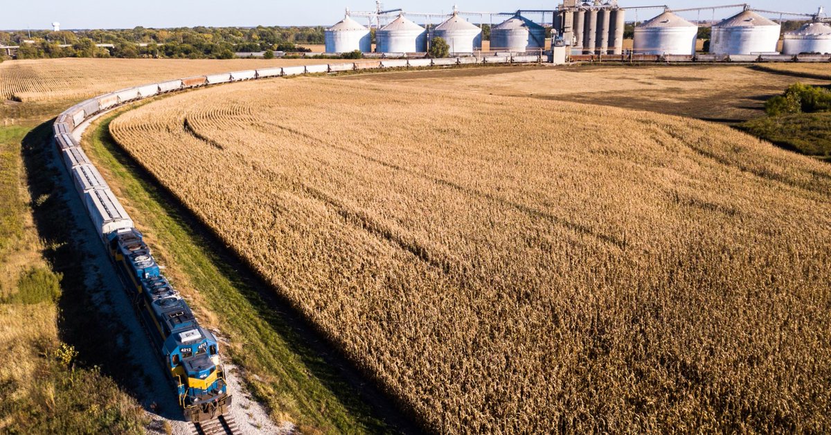 WatcoRail's tweet photo. For Watco’s Decatur &amp; Eastern Illinois #Railroad, #harvest time means moving tons (and we mean tons) of corn and soybeans. https://t.co/Um8WPKIRNQ https://t.co/wblaJwG8JG