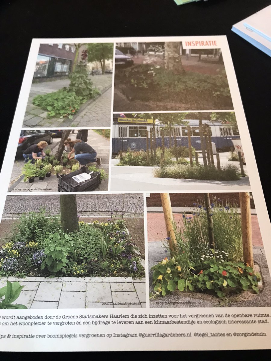 Niet groots en meeslepend maar klein, gedragen door burgers en herhaalbaar. Bv Vroomstraar wordt vergroend, sociale cohesie versterkt, andere straten jaloers! Werken aa klimaatbewuszijn krijgt zo smoel! Met hulp van gemeente <a href="/haarlem/">haarlem</a>