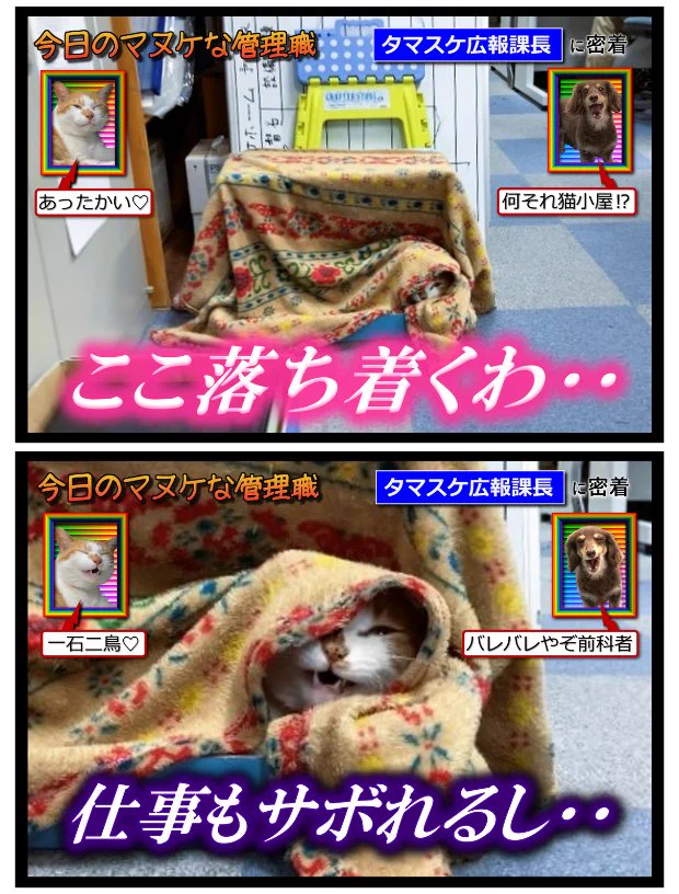 @EinsWappa サボタージュ 