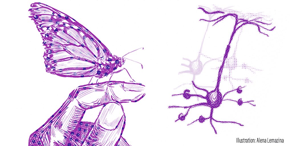 The @MpiBrain is hosting the second series of virtual seminars by excellent international postdocs in #Neuroscience, starting with @BeetzJerome on Nov 24. More infos 👉🏻 brain.mpg.de/81714/postdoc-… @MPGpostdocnet @maxplanckphdnet