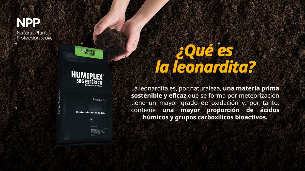 uplagro_mexico's tweet photo. #HUMIPLEX ® 50G Esférico es un producto formulado con Leonardita con un alto contenido de #SustanciasHúmicas activadas. 🌱🧲🍅🥑🫑♻️🐝💚🌎🤗
#UPL #Agronomía #Cultivo #Nutrientes #Fertilizantes #Agricultura #CampoMexicano #México #AgroMéxico #UPLMexico https://t.co/yXWO6keF8x