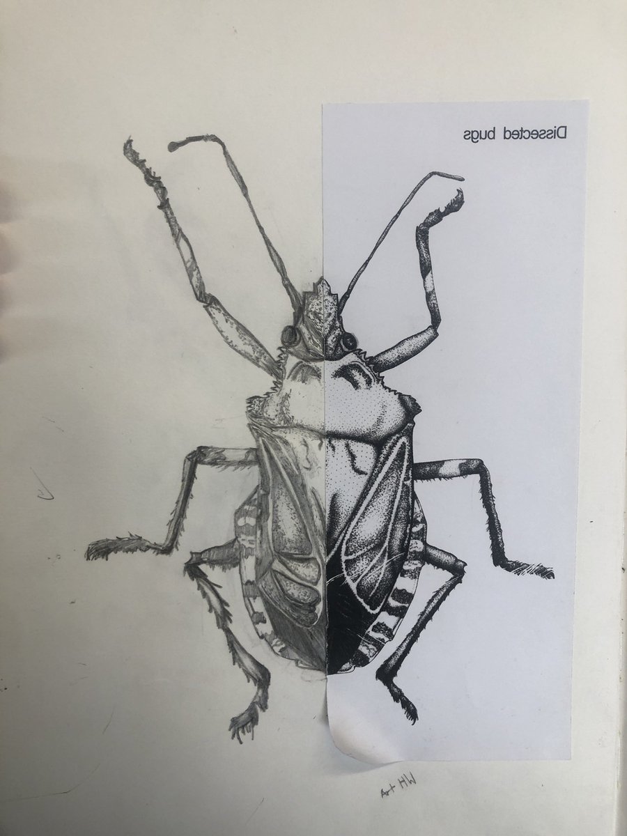 Art Dept @WhitbyHigh tweet media