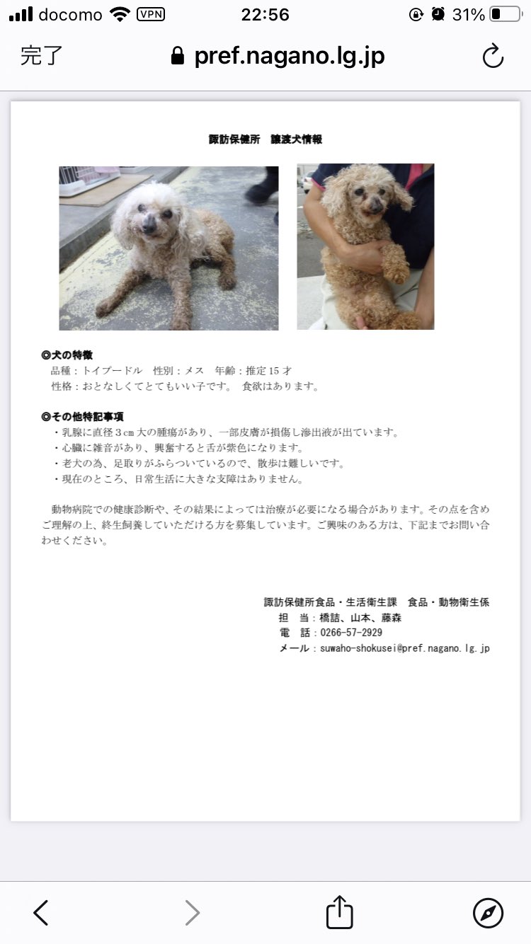 きよ 新しい家族をさがしています 拡散のご協力宜しくお願い致します 長野県諏訪保健所 T Co Repxcukxub Twitter きよ 新しい家族をさがしています 拡散のご協力宜しくお願い致します 長野県諏訪保健所 T Co Repxcukxub Twitter
