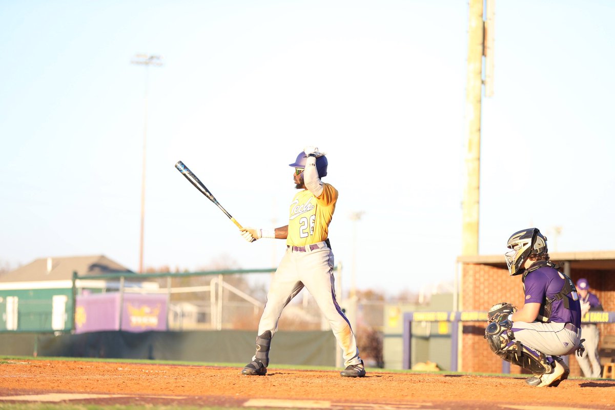nichojordan_'s tweet image. #TnTech Fall22⚾️