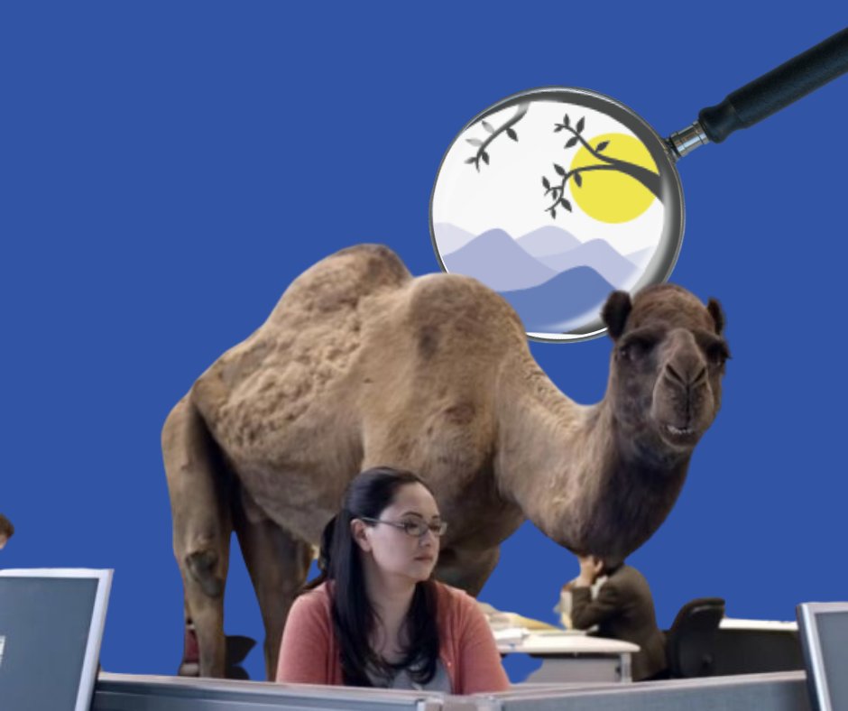 BooneNCChamber's tweet photo. GUESS WHAT DAY IT IS? It's Humpday! And you know what that means... it's also #WataugaWorkforceWednesday π
@appstate
@CCWCI
@town_boone
@myhcch
Learn moreπ² https://t.co/kgXjkWbUx2 https://t.co/FyJYviZ3rL