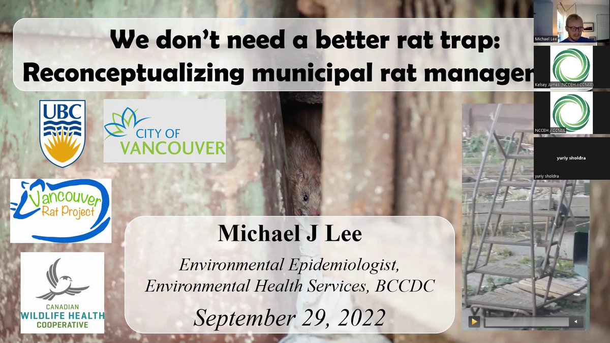 One Health - U of Guelph (@onehealthuofg) on Twitter photo Urban rats continue to flourish in cities. An entrenched “war-on-rats” paradigm drives rat management, but in this <a href="/ncceh/">NCCEH | CCNSE</a> webinar, Michael J. Lee explores how reconceptualizing the problem as an unsolvable one, can change how cities approach management: tinyurl.com/fsawxhvw Urban rats continue to flourish in cities. An entrenched “war-on-rats” paradigm drives rat management, but in this <a href="/ncceh/">NCCEH | CCNSE</a> webinar, Michael J. Lee explores how reconceptualizing the problem as an unsolvable one, can change how cities approach management: tinyurl.com/fsawxhvw