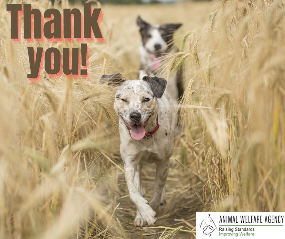 Animal Welfare Agency (@AWAUK_) / Twitter Animal Welfare Agency (@AWAUK_) / Twitter