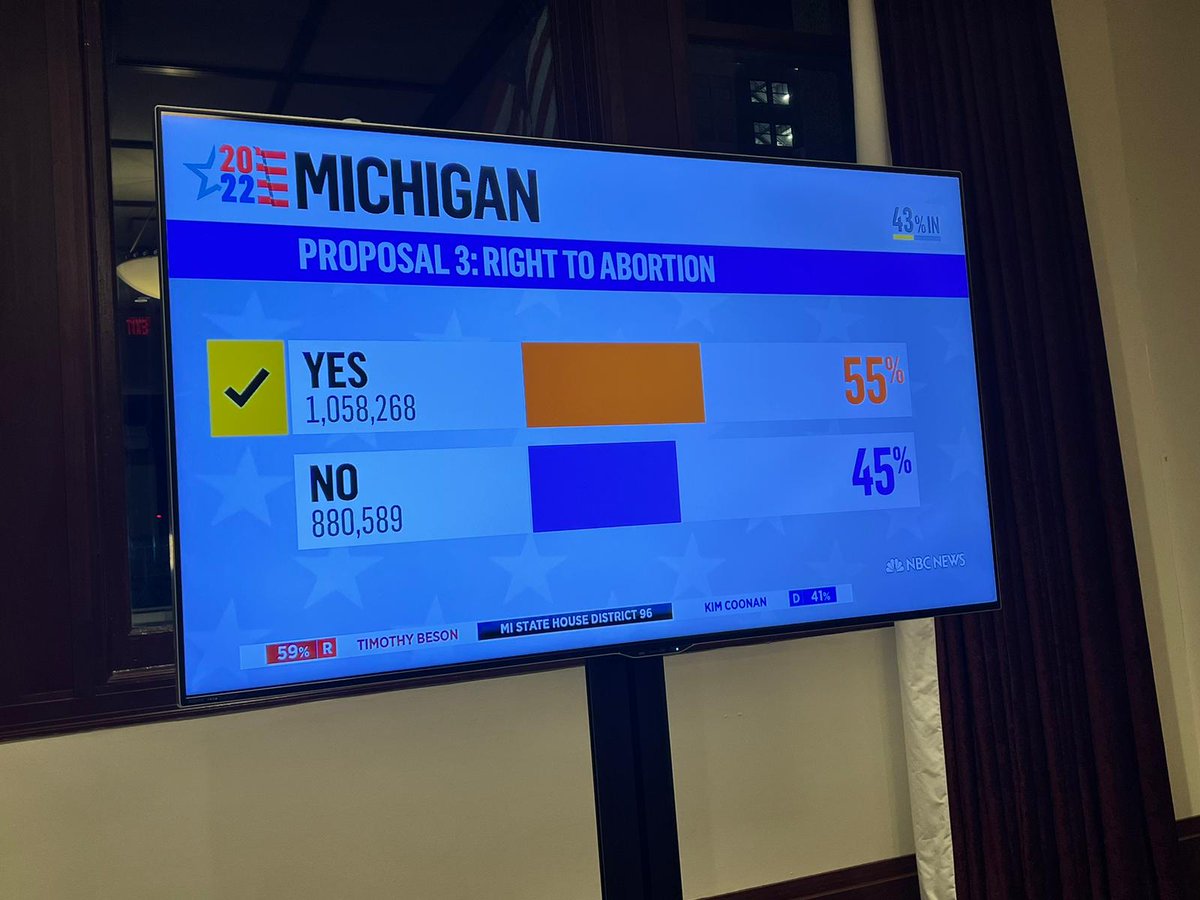 LaFemme_Negrita's tweet photo. Good Morning, Michigan! Thank you for voting #YesOn3 #Proposal3 https://t.co/J4CDjYhkYz