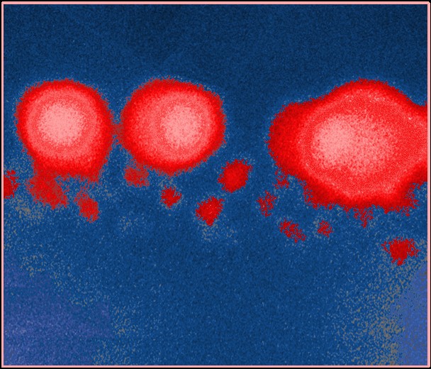 CEMES-CNRS tweet media