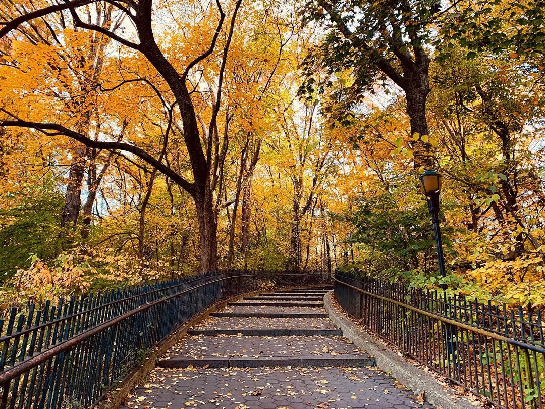 Every season in Riverside Park is stunning — and autumn is no exception. 🍁✨

What’s your favorite time of year in the Park? 

📸: @k_monton
