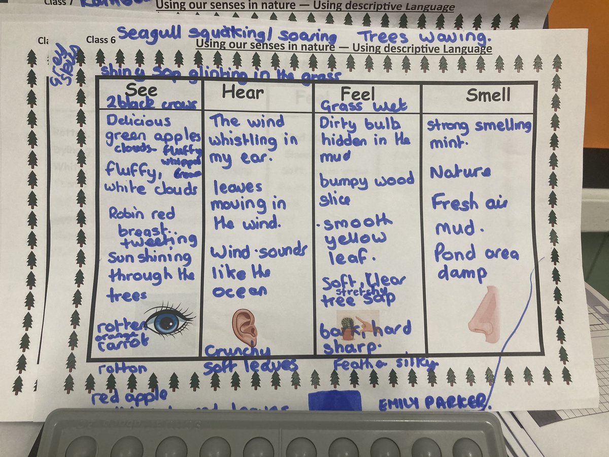 katesutton70's tweet photo. Our pupils @burlingtonjnr love getting outdoors and enjoyed a nature walk to enhance writing skills yesterday @gettingoutside #mindfulness #descriptivewriting https://t.co/MmHQ7eIX50