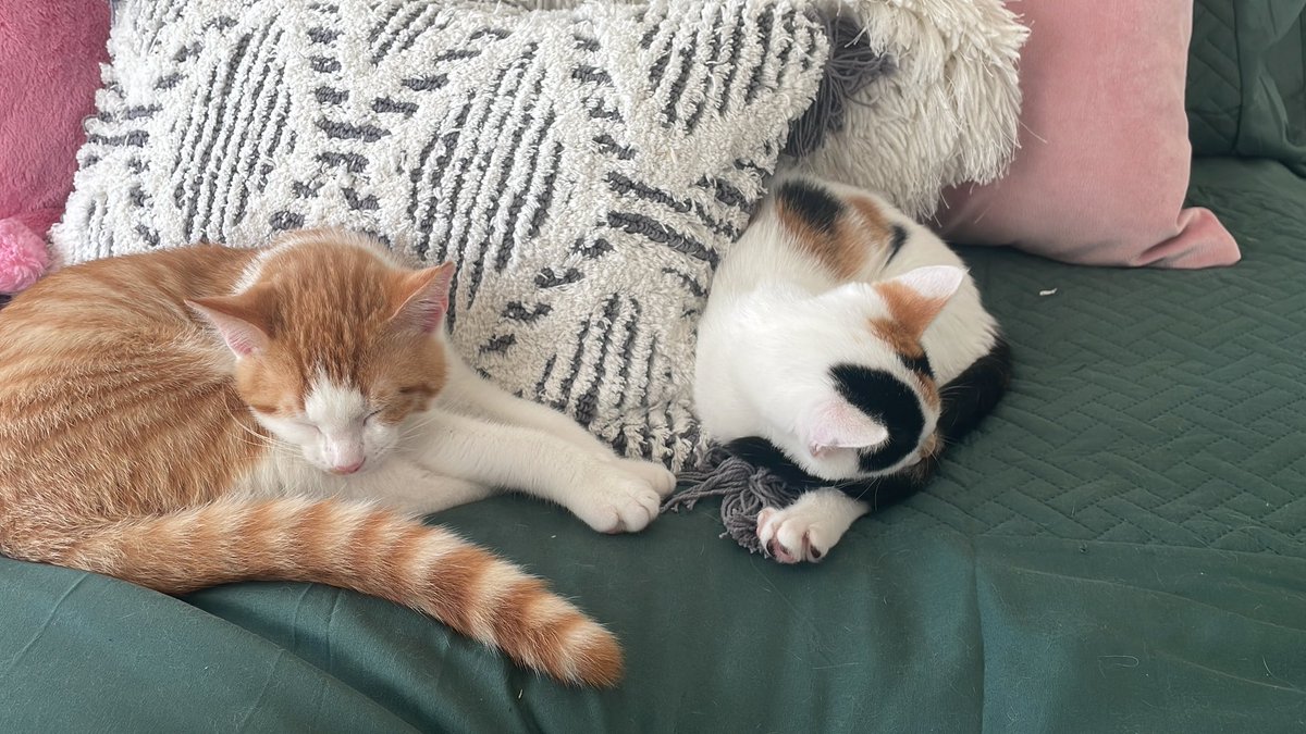 abbeycrouch_'s tweet photo. There’s nothing that’s these two can’t fix 🥰 https://t.co/BlBvSEtkbr