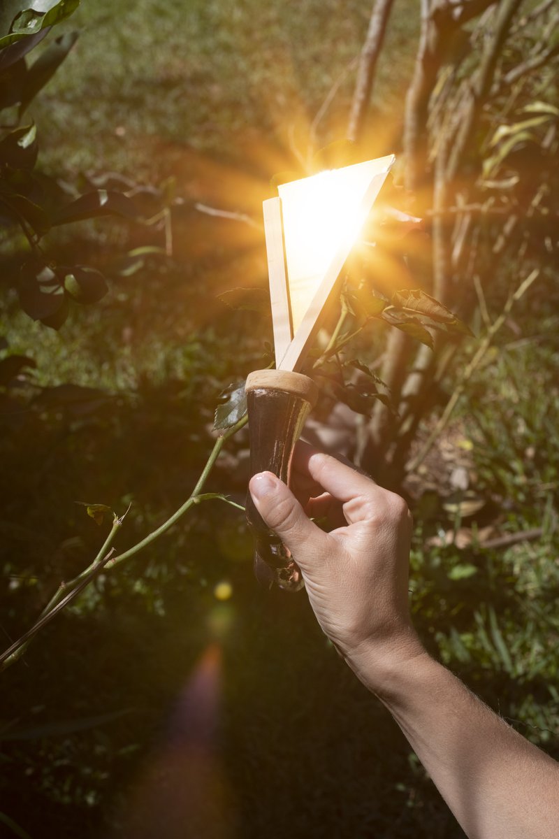 📣 5 days left, Week 19 TWT Dutch Auctions!

<a href="/photo_sensitive/">Christian Martinez</a>'s full collection: opensea.io/collection/the…

Clara de Tezanos's full collection: opensea.io/collection/the…

<a href="/entanese/">entanese (WALFGMI)</a>'s full collection: opensea.io/collection/the…

⬇️ 👀