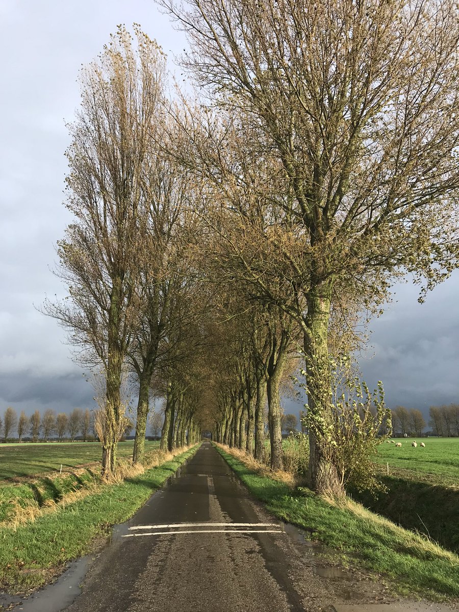 KorBerghuis's tweet photo. Op het eind van de dag zullen we weten waar de weg van de begroting voor de inwoners @HetHogeland naar toe zal gaan.
@RaadHetHogeland https://t.co/zpWBlDNVnx