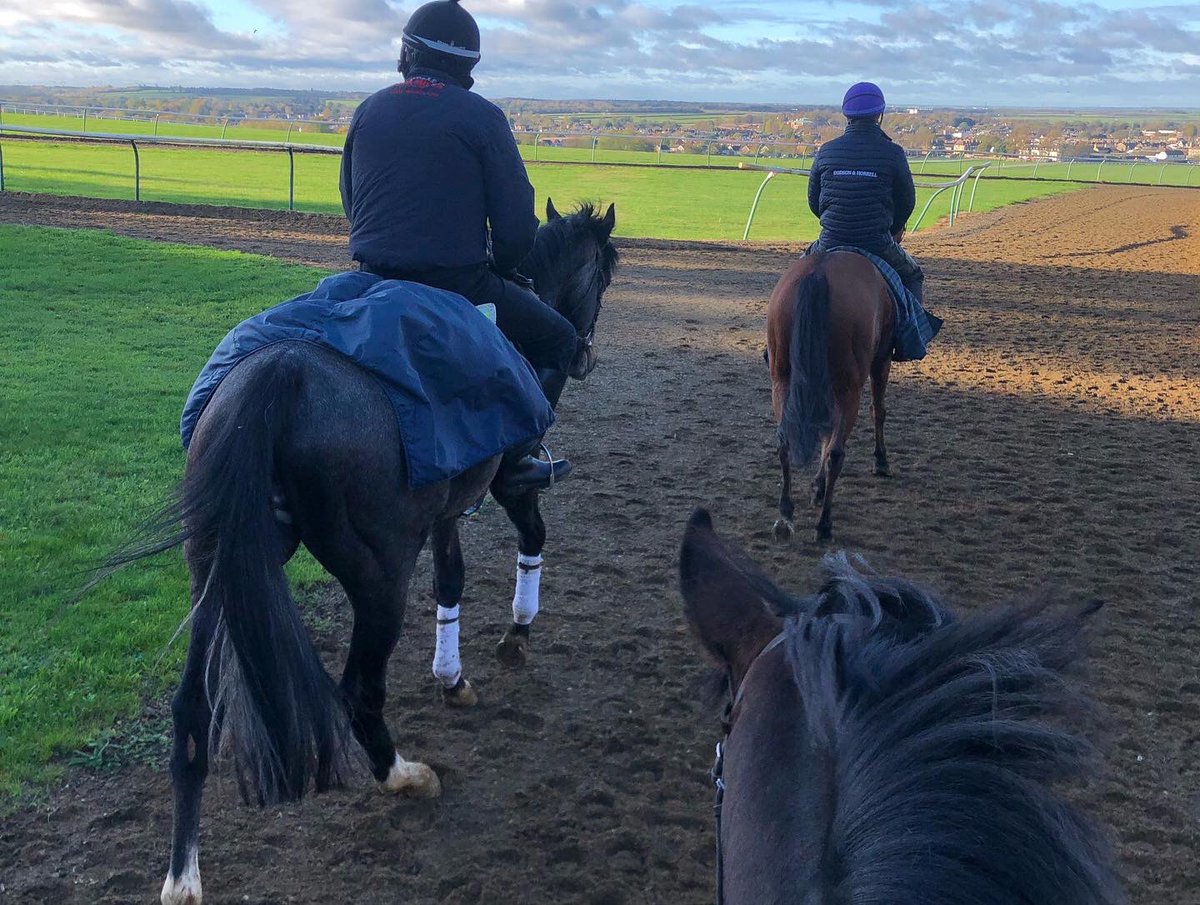 SPearce_Racing's tweet photo. Morning exercise #warrenhill #racehorses #morningexercise #horses #horseracing #sunshine #beautiful #newmarket #newmarketheath https://t.co/V8jJ1jN7ic