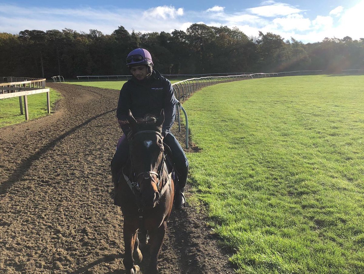 SPearce_Racing's tweet photo. Morning exercise #warrenhill #racehorses #morningexercise #horses #horseracing #sunshine #beautiful #newmarket #newmarketheath https://t.co/V8jJ1jN7ic