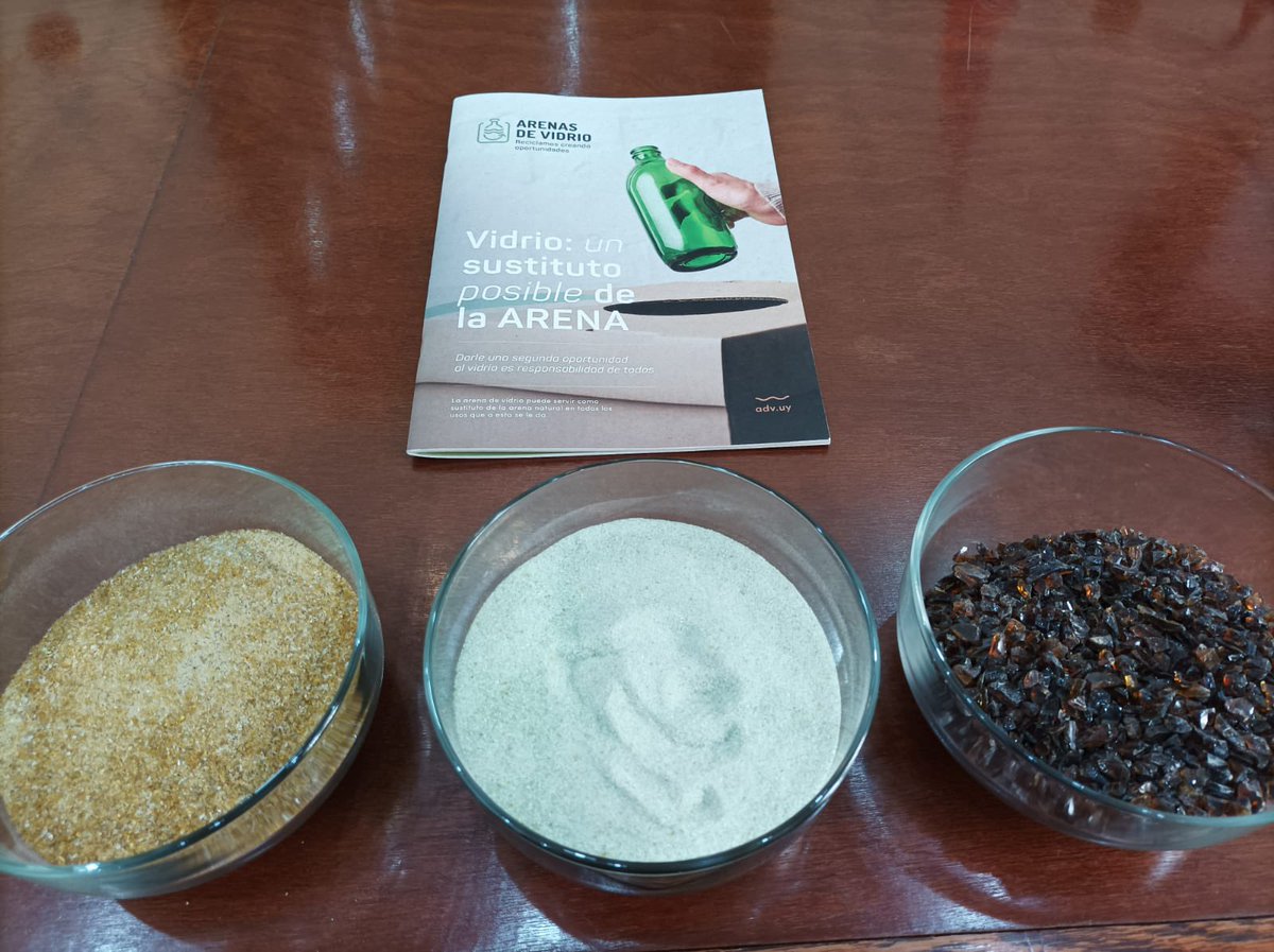 Canal TVFlorida tweet media