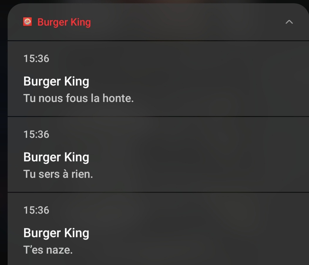 CeliaFlo3's tweet photo. @BurgerKingFR c'est votre nouvelle campagne publicitaire ??? 😅 https://t.co/lV3gQLABRh