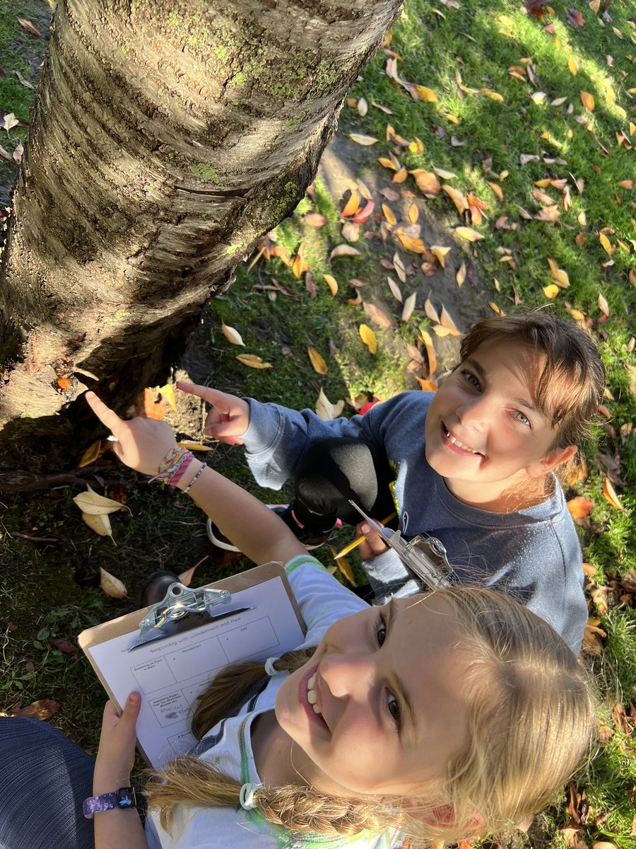 Lexi Mayo tweet media