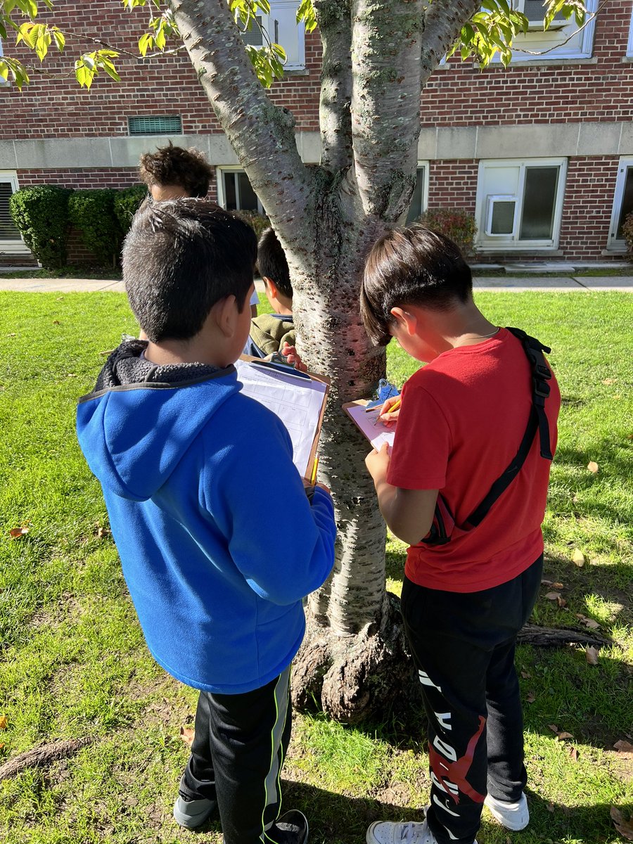 Lexi Mayo tweet media