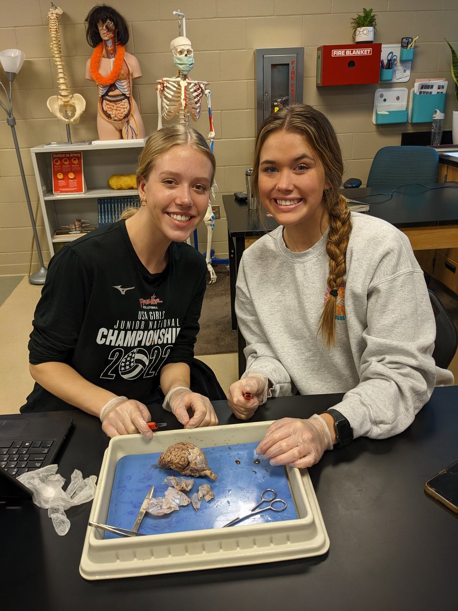 HSA juniors put on their thinking caps for our sheep brain dissection this morning!