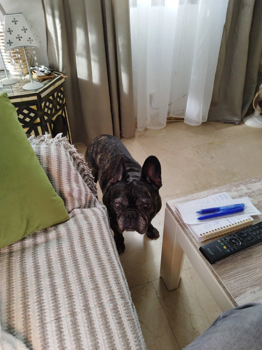 AcIDeX_TeaM tweet media