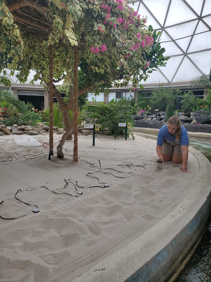 dramaqueenpvd's tweet photo. Lights going in at Living With the Land! Ready for the Christmas overlay! @WDWNT https://t.co/R3vxWrwV19