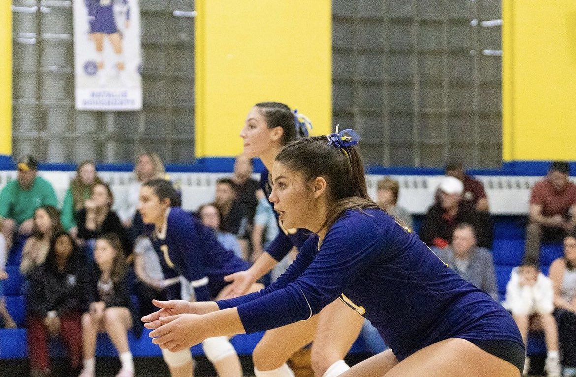 ACvolleyball's tweet image. GAME DAY FOR THE COUGARS!
SWEET 16 @ Weston
🟡 NEON THEME 🟢
Game start 5 pm.
Roll Cougs! #grr #yoffszn
#ACVB #MIAA