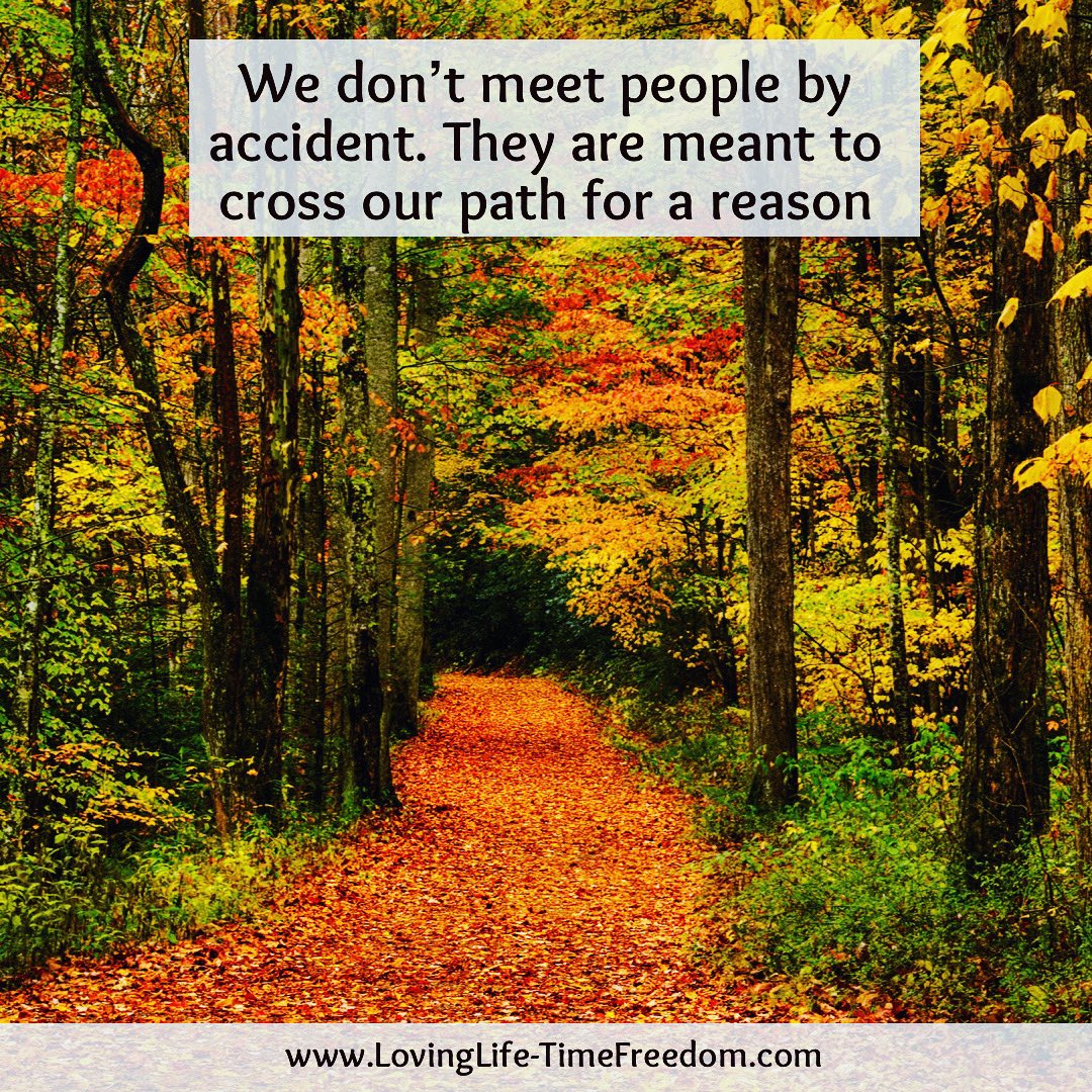 MadellRachel's tweet photo. Whether we’ve crossed paths virtually or physically, it’s always been for a reason. Grateful for the interactions where I’ve been able to help others or I’ve learned something from them.  🙏🏻💖

#grateful #offerhelp #supportothers #learnfromothers #nocoincidences  #learningjourney https://t.co/SdThY9NLcM