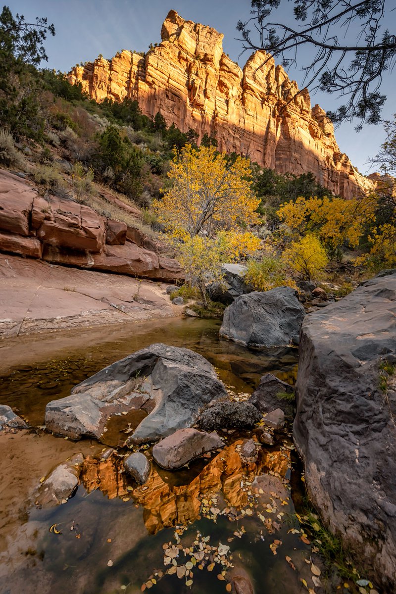 #Zion #ZionNationalPark #outdoors #utahphotography #Landscape #Utah #OutdoorPhotography #travelgram #Natgeotravel #utahgram #utahisrad #IGUtah #UtahLiveElevated #DaveKochPhoto #Utahdotcom #WOWutah #cliffs #rocks #nature #naturephotography #instagood