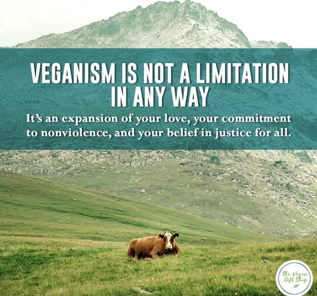 veganfuture's tweet photo. https://t.co/5D3H5ZlMbw