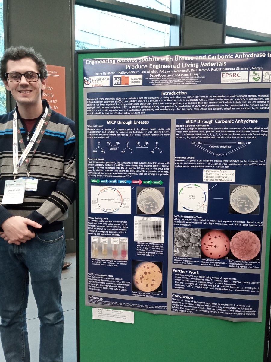 Jamie Haystead (@jamiehaystead) on Twitter photo Had a great time attending the #SBUK2022 conference hosted by <a href="/BiochemSoc/">Biochemical Society</a> earlier this week in Newcastle! I presented a poster on engineering urease and carbonic pathways in Bacillus subtilis and had a great time talking with a range of people about the work. Had a great time attending the #SBUK2022 conference hosted by <a href="/BiochemSoc/">Biochemical Society</a> earlier this week in Newcastle! I presented a poster on engineering urease and carbonic pathways in Bacillus subtilis and had a great time talking with a range of people about the work.