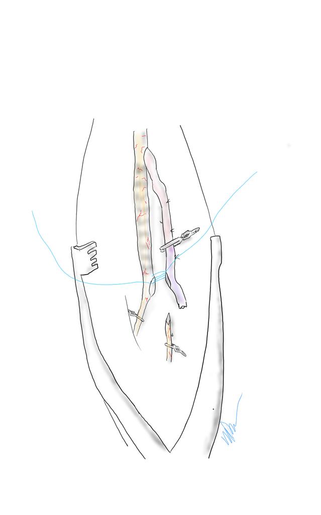 W. Michael Park, MD tweet media
