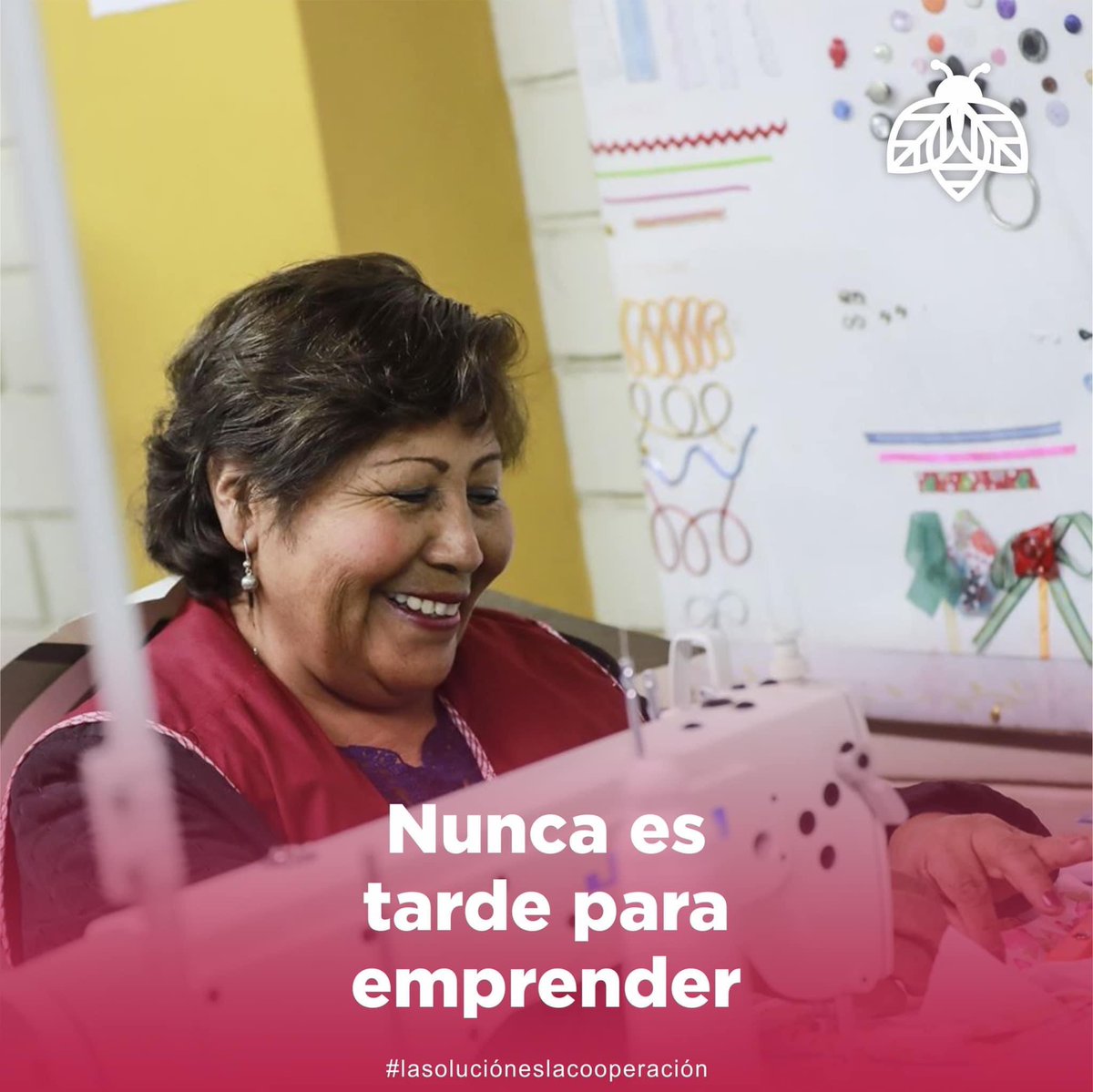 MxComuna's tweet photo. Nunca es tarde para emprender comienza donde estés, usa lo que tienes y trabaja siempre de ❤️ #sociedadunida #emprender https://t.co/FYkR4anor1