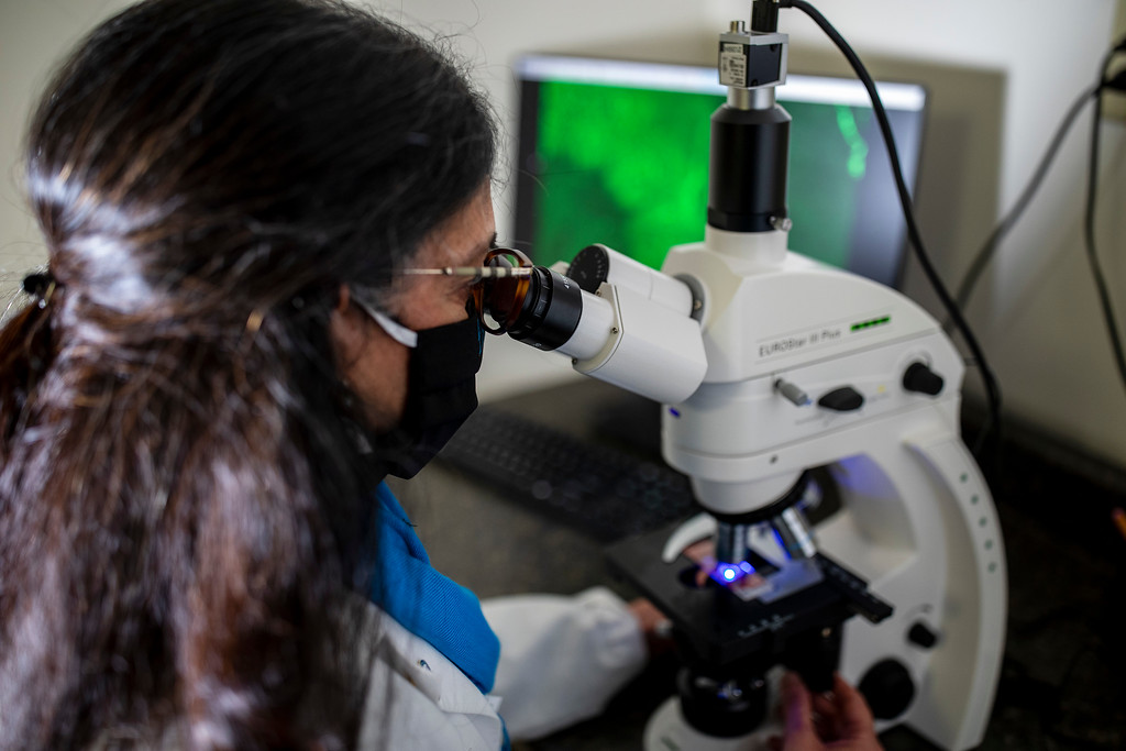 Beutner_Labs's tweet photo. Gluten Free Diet Month in November highlights the importance of special meals for those with gluten sensitivity or Celiac Disease. KSL's Beutner Labs is proud to partner with your doctor to test for illnesses related to gluten intolerance. https://t.co/xLngs1cHkZ