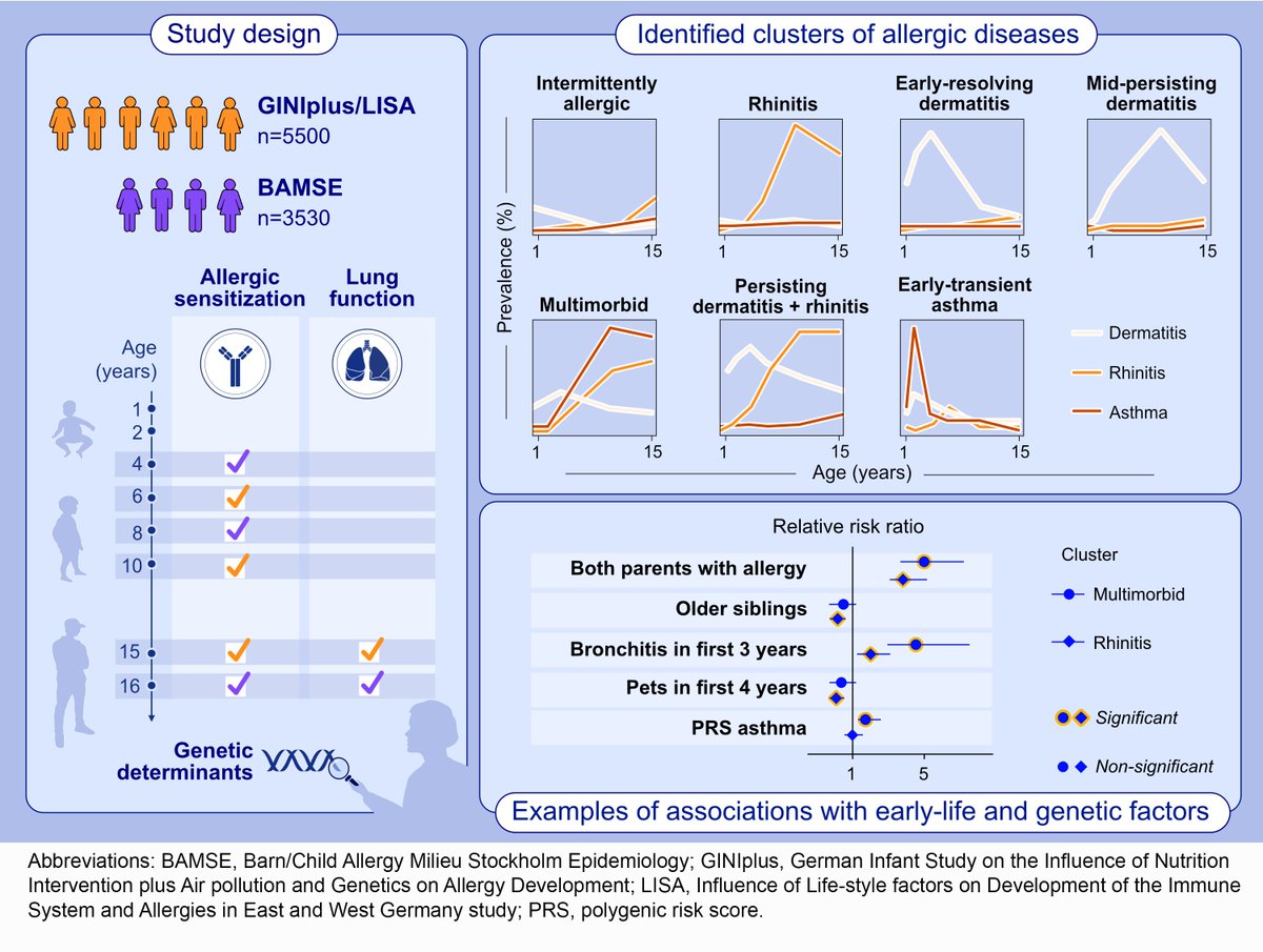 AllergyEaaci's tweet photo. Kilanowski et al. #Allergicdisease trajectories up to adolescence: Characteristics, early-life, and genetic determinants
Read more 👉https://t.co/4a473ZCb8v
Video abstract of this article👉https://t.co/LtZhP00hB6
See more papers👉 https://t.co/YQQiQ2Okvj
#Allergy_journal https://t.co/pyQL3MQ831