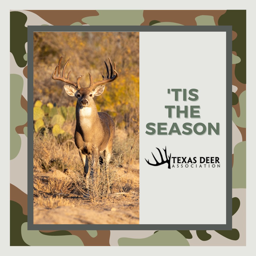 TxDeerAssoc's tweet photo. With general deer season officially underway, share how opening weekend treated you! #deerseason22 #huntyourway #huntingfamilies #huntingequalsconservation #huntingmatters #youthhunt #takeakidhunting https://t.co/swqf4sJPBx